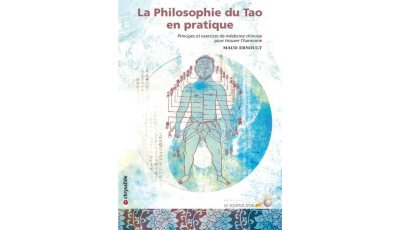 Philosophie du Tao en pratique (La)