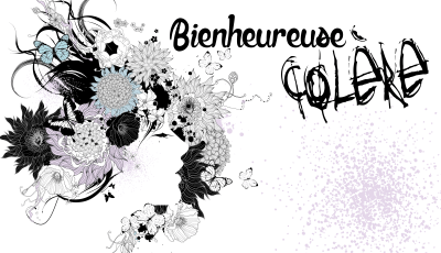 Bienheureuse colère