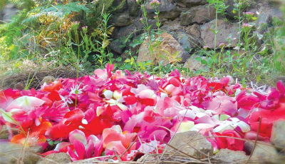 Ecopsychologie pratique et rituels pour la Terre