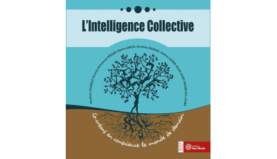 Intelligence Collective (L')
