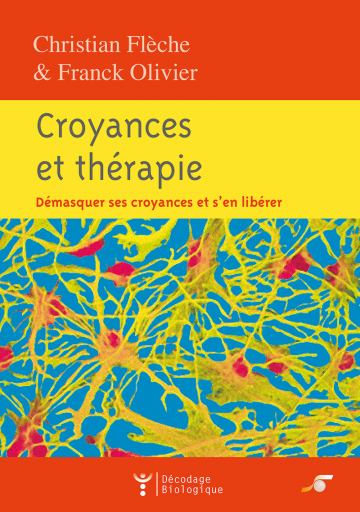 Croyances et thérapie (C. Flèche)