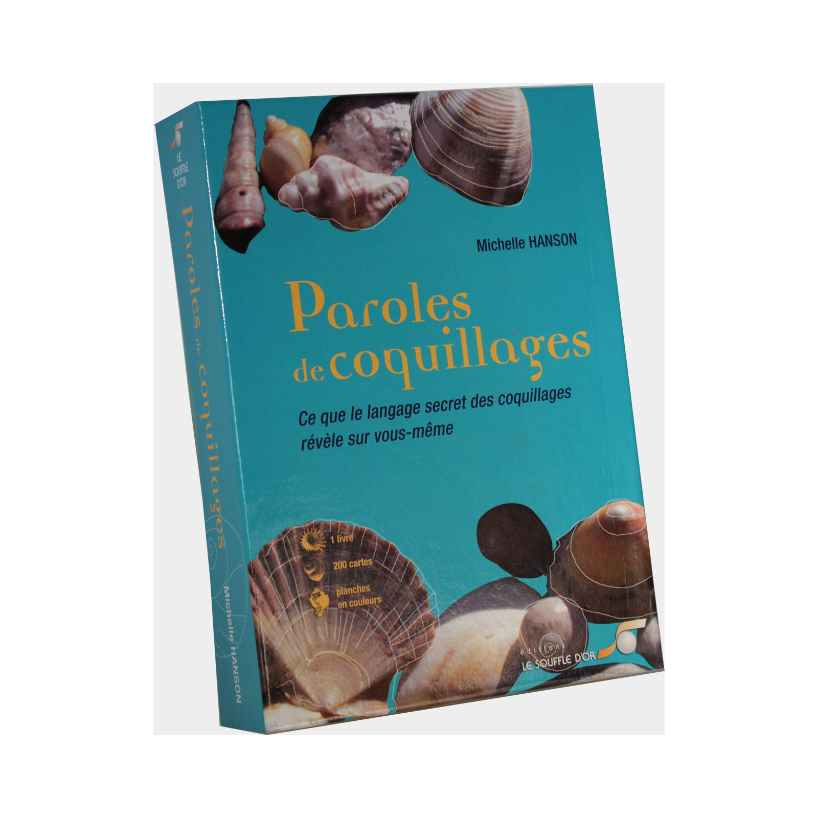 Paroles de coquillages