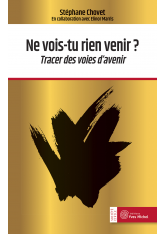 Ne vois-tu rien venir ?