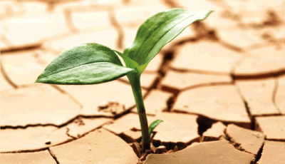 Créatifs Culturels : l’émergence d’une nouvelle conscience (Les)