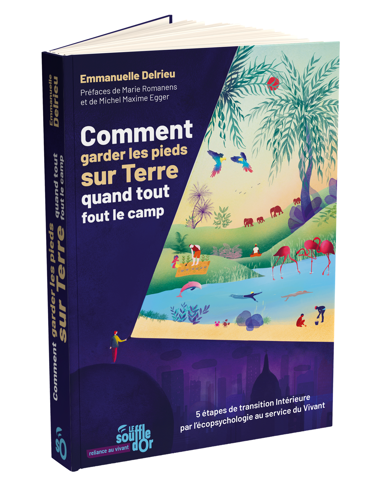 Comment garder les pieds sur Terre quand tout fout le camp  par Emmanuelle Delrieu